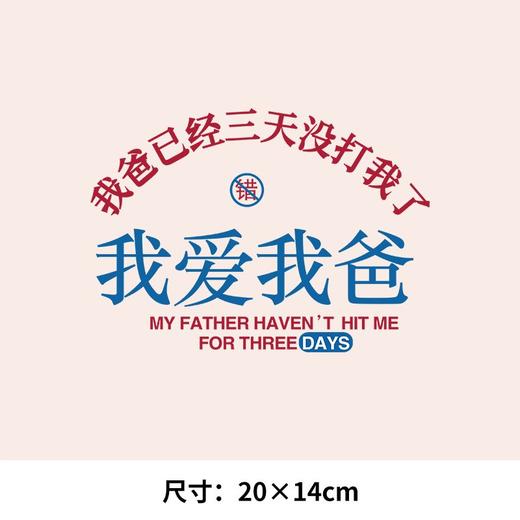 我爸已经三天没有打我了 新款热转印烫画贴定制白墨衣服装文字 商品图0