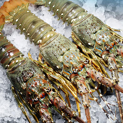 品尊轩1188型优质海鲜礼盒 商品图1