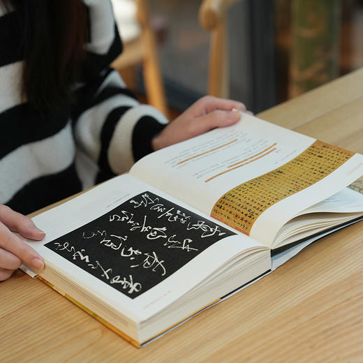 《汉字书法五千年》 一部极简中国书法史 商品图8