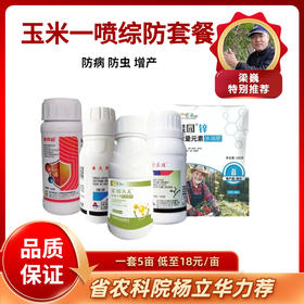 玉米一喷综防