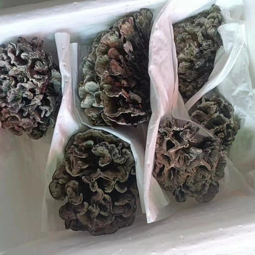 云南 美味菌子【时令尝鲜】 商品图9