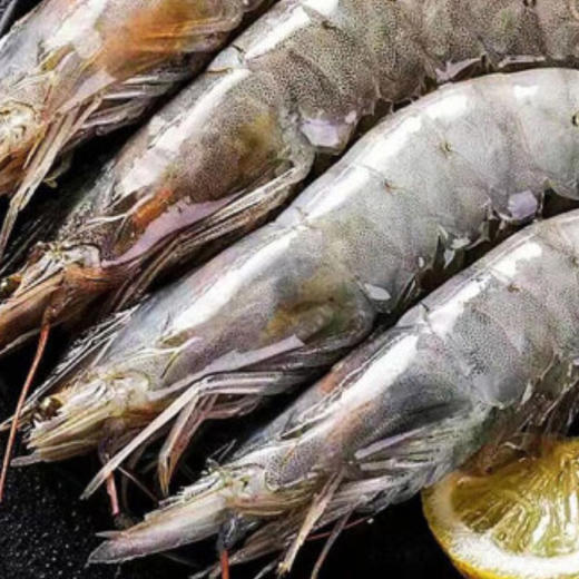 品尊轩518型优质海鲜礼盒 商品图2