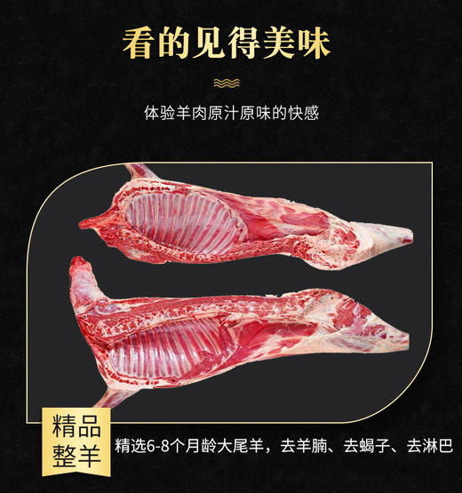 【顺丰冷链】新疆羊肉15kg整只羊 体验羊肉原汁原味的快感 阿勒泰大尾羊 不膳不腥 肥瘦适宜 口感细腻 尽享美味ASJMY 商品图1