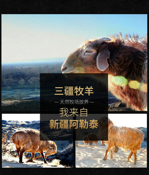 【顺丰冷链】新疆羊肉15kg整只羊 体验羊肉原汁原味的快感 阿勒泰大尾羊 不膳不腥 肥瘦适宜 口感细腻 尽享美味ASJMY 商品图0