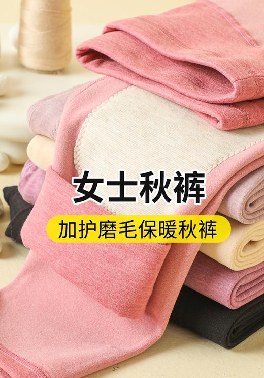 女士德绒AB面彩纱双面磨毛无痕加护加厚高腰收腹单长裤竖条纹秋裤保暖裤2321/2322/92321/92322 商品图4