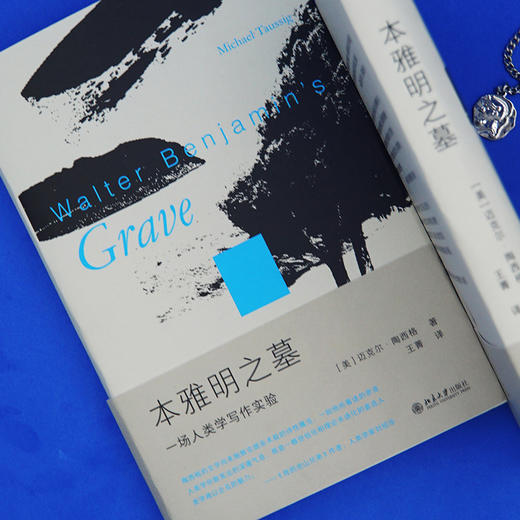 本雅明之墓：一场人类学写作实验 迈克尔·陶西格 北京大学出版社 商品图4