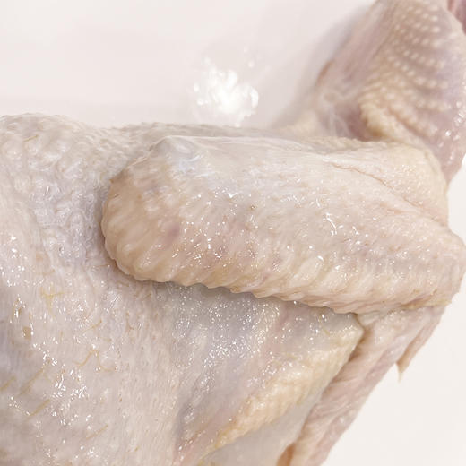 奔牛沈小亚农场 童子鸡 净重1.5-1.8斤左右 商品图2