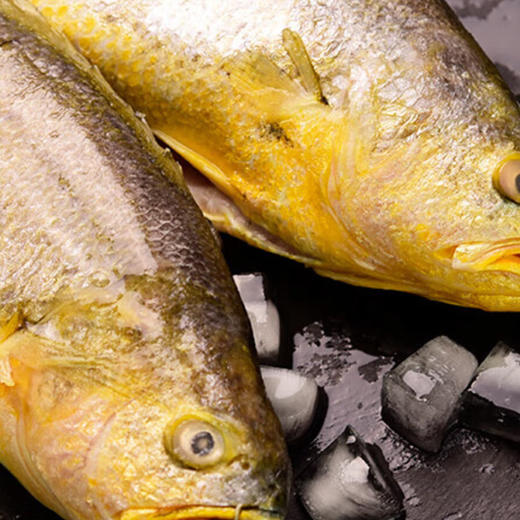 品尊轩518型优质海鲜礼盒 商品图1