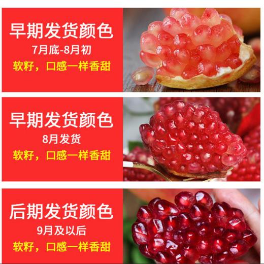 突尼斯软籽石榴 商品图5