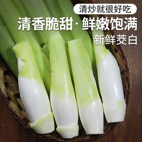 安心优选 农家新鲜茭白1斤   肉质肥嫩  口感鲜脆  清新甘甜  清炒就很好吃