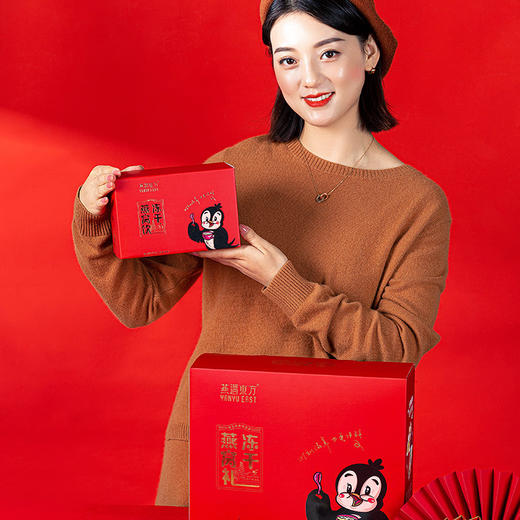 燕遇东方冻干燕窝礼12g×6包 商品图3