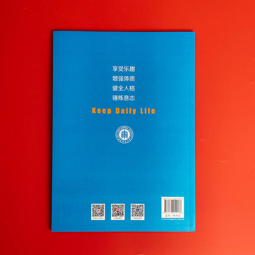 中国儿童青少年体育健康促进行动方案 2020—2030 双减政策背景下学校体育高质量发展研究项目组编 商品图2