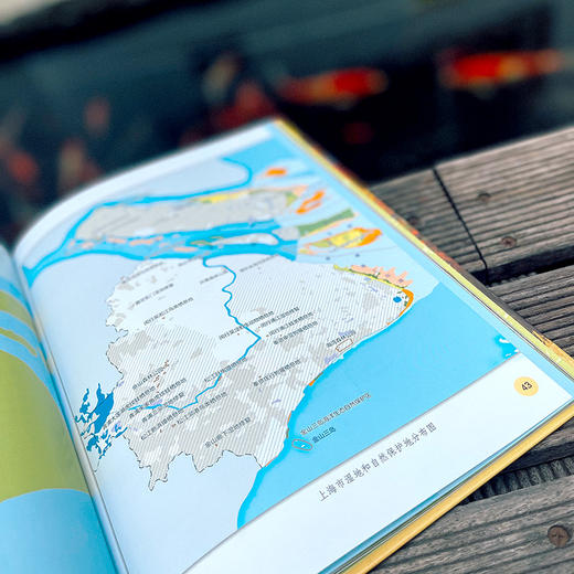 【7-10岁】爱上海 爱“沪”野生动物 认识动物 童书绘本 儿童科普书 精装 商品图8