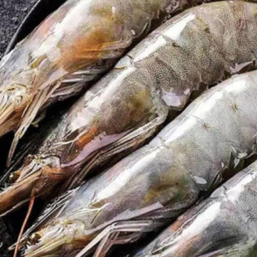 品尊轩998型优质海鲜礼盒 商品图4