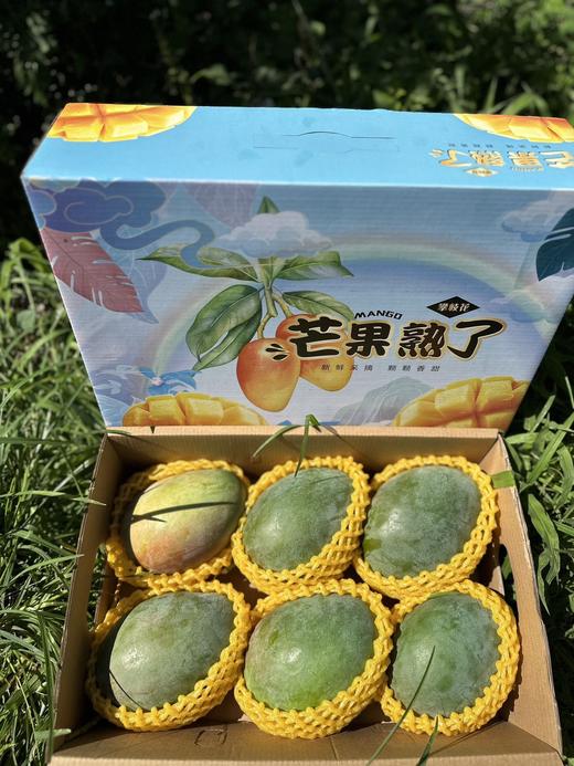 攀枝花凯特芒果 商品图4