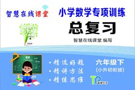 小学数学专项训练总复习六年级下 视频课在线学习卡