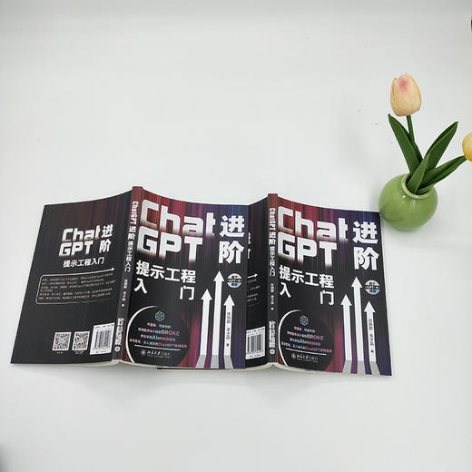 ChatGPT进阶：提示工程入门 陈颢鹏 李子菡 北京大学出版社 商品图4
