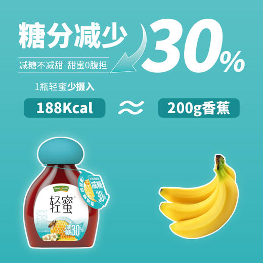 【汪氏】汪氏轻蜜455g/瓶 商品图1