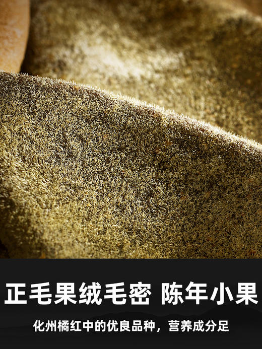 橘源堂正一品二十年系列化州橘红500克×1罐 商品图3