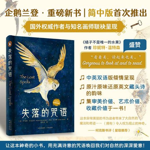失落的咒语 罗伯特·麦克法伦等 著 文学 商品图0