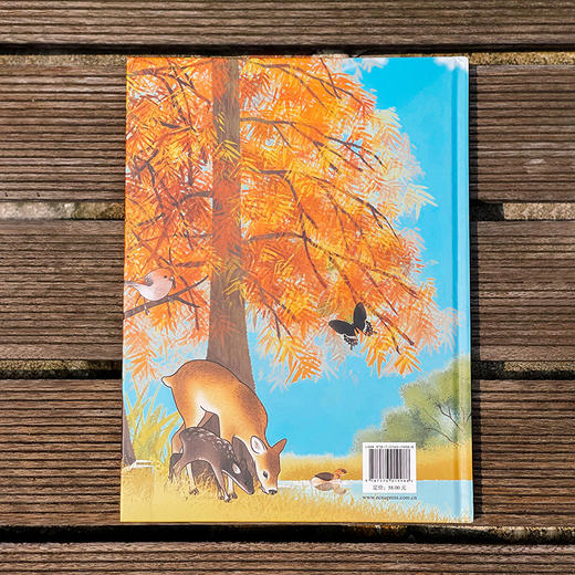 【7-10岁】爱上海 爱“沪”野生动物 认识动物 童书绘本 儿童科普书 精装 商品图2