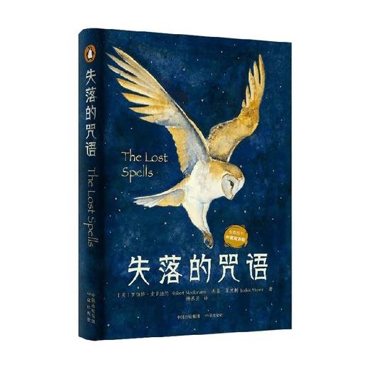失落的咒语 罗伯特·麦克法伦等 著 文学 商品图1