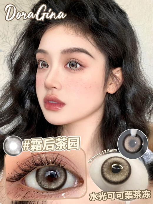 Doragina 年抛美瞳 霜后花园 直径14.5mm着色13.8mm 商品图0