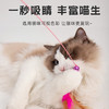 钢丝羽毛铃铛逗猫棒 长杆耐玩解闷 颜色随机 opp袋装 猫咪玩具 商品缩略图1