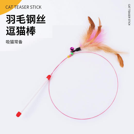 钢丝羽毛铃铛逗猫棒 长杆耐玩解闷 颜色随机 opp袋装 猫咪玩具 商品图0