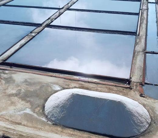 俏虾客盐田虾生虾 400g/盒 商品图2