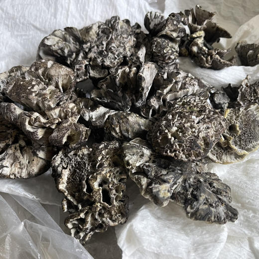 云南 美味菌子【时令尝鲜】 商品图8