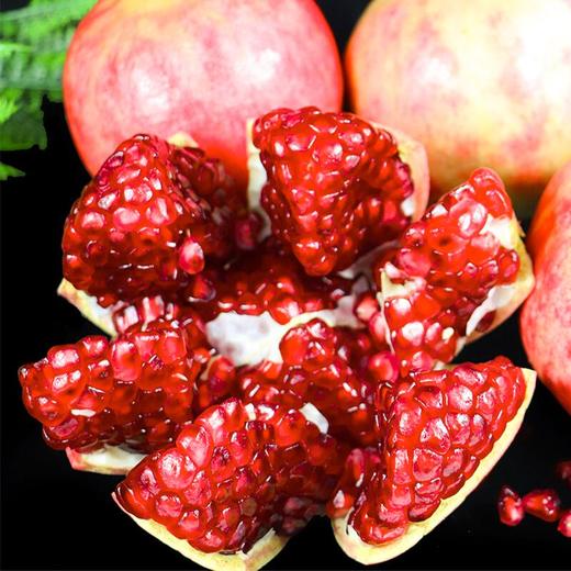 突尼斯软籽石榴 商品图4
