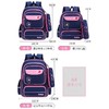巴豆树小学生书包女孩1-6年级大容量防水男5减负双肩包女批发印字 商品缩略图3