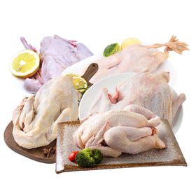 崇明老杜家禽E款4250g