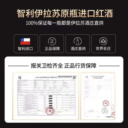 智利酒王马克西米诺伊拉苏红酒干红葡萄酒智利18罗汉原瓶进口 商品图1