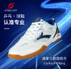 速博特 飞龙二代专业乒乓球鞋 为专业乒乓而存在 商品缩略图0
