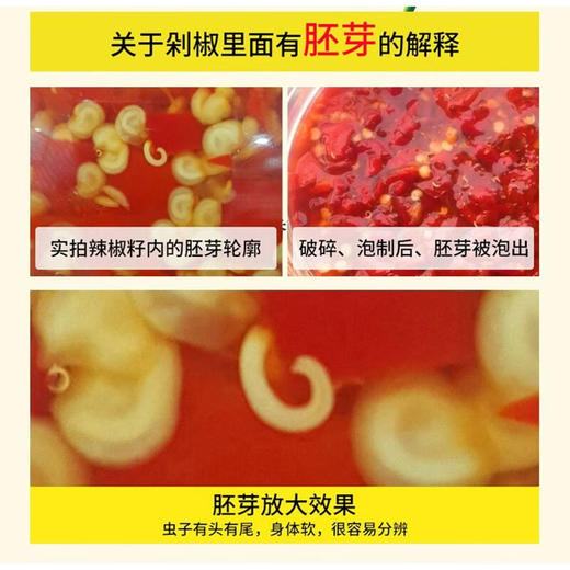 【仅供集采】小米椒特辣剁辣椒酱军杰剁椒2KG*6瓶 箱装 商品图1