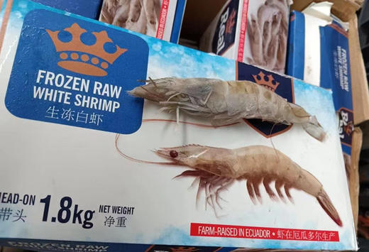厄瓜多尔进口深海捕捞白虾，个个巴掌大，鲜活捕捞 急速锁鲜口感原汁原味，虾肉肥硕鲜嫩，吃得出的新鲜
规格：30-40，1.8公斤/盒 商品图4