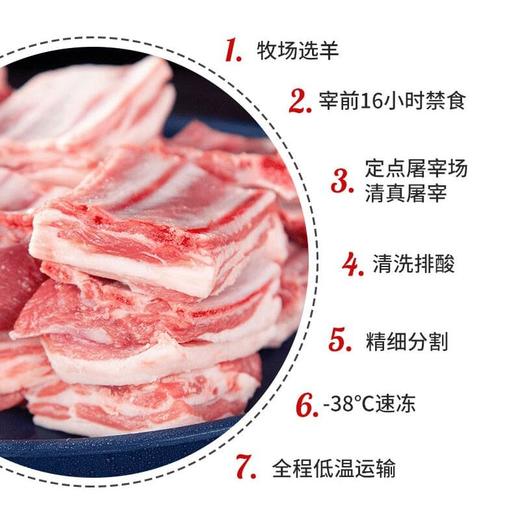 【顺丰冷链】新疆羊肉大尾羊乳羔原切羊排块  带脊羊排块 火锅食材  不膻不腥ASJMY 商品图4