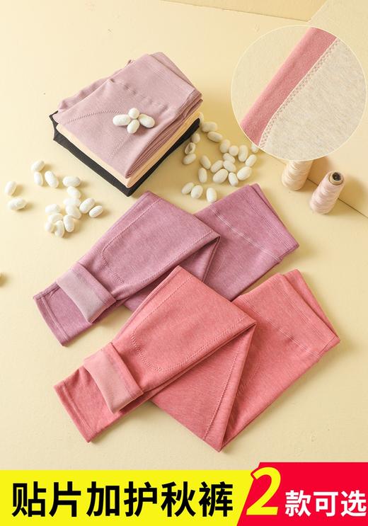 女士德绒AB面彩纱双面磨毛无痕加护加厚高腰收腹单长裤竖条纹秋裤保暖裤2321/2322/92321/92322 商品图2