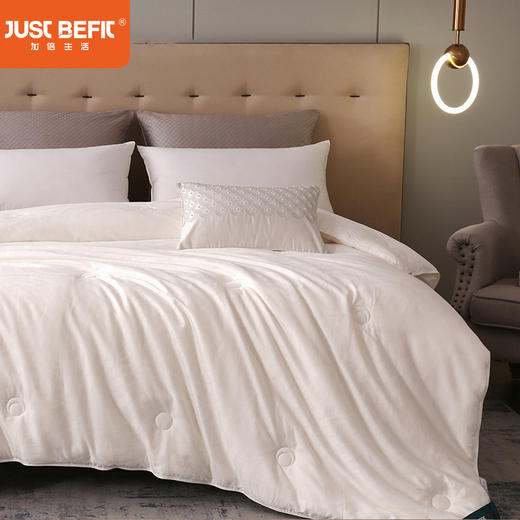 【品牌直发】加倍生活 臻选桑蚕丝被 全棉60s面料 提花工艺 商品图0