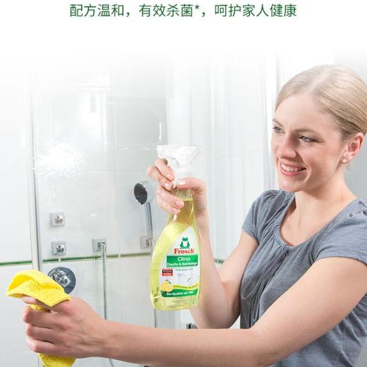 Frosch 柠檬卫浴清洁喷剂500ml+Frosch 柠檬便器清洁剂750ml/组 商品图2