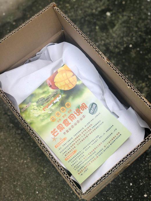 攀枝花凯特芒果 商品图3