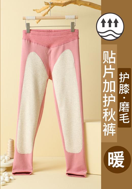 女士德绒AB面彩纱双面磨毛无痕加护加厚高腰收腹单长裤竖条纹秋裤保暖裤2321/2322/92321/92322 商品图0