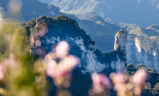 【中国寻秋—南太行】洛阳老君山、道宝河、 天界山、郭亮村、南寨、太行大峡谷摄影 9天（高铁） 商品图7