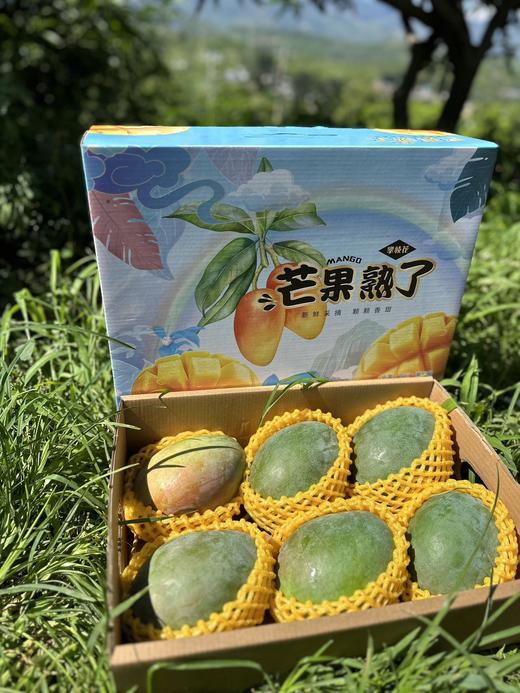 攀枝花凯特芒果 商品图5