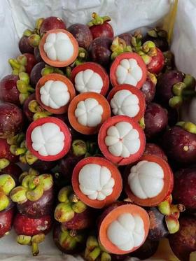 【当季必吃】8.8元每斤 泰国山竹4A（3斤起售）