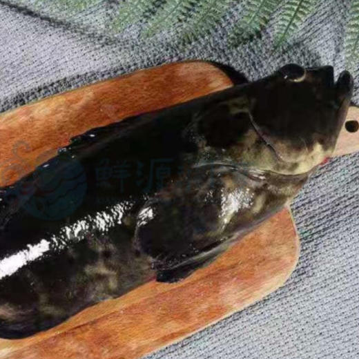 品尊轩998型优质海鲜礼盒 商品图3