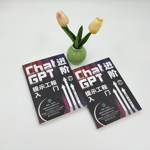 ChatGPT进阶：提示工程入门 陈颢鹏 李子菡 北京大学出版社 商品图2