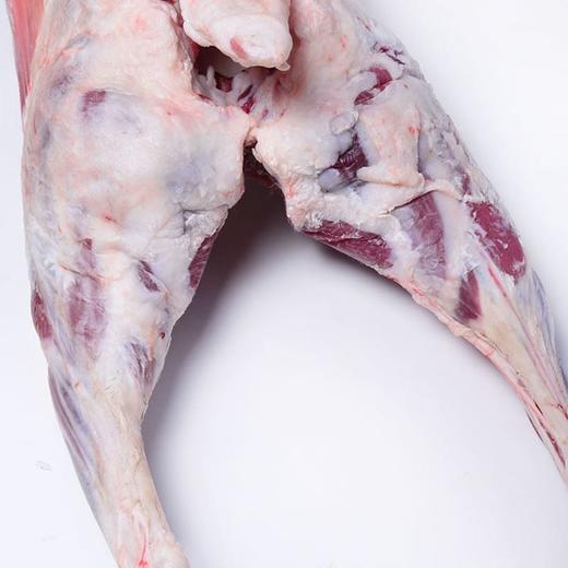 【顺丰冷链】新疆羊肉15kg整只羊 体验羊肉原汁原味的快感 阿勒泰大尾羊 不膳不腥 肥瘦适宜 口感细腻 尽享美味ASJMY 商品图3
